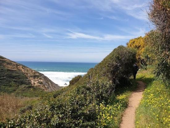 Herdade Amália Zambujeira do Mar Buitenkant foto